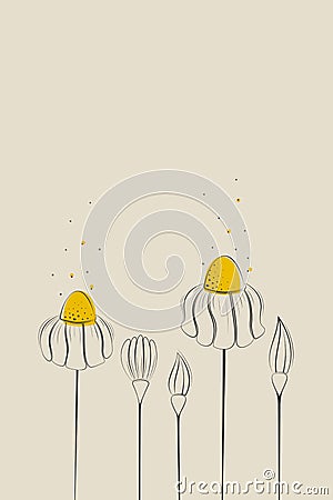 Daisies drawn in contour on a beige background with a slight yellow accent Vector Illustration